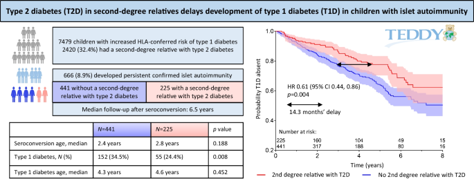 Family history of type 2 diabetes delays development of type 1 diabetes ...