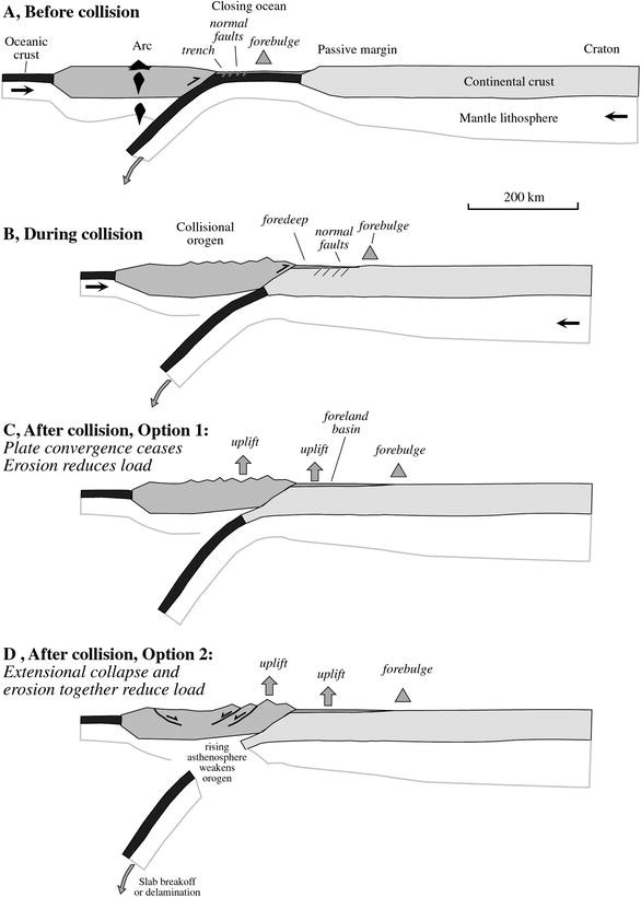 Label the diagram of a convergent-margin orogen.