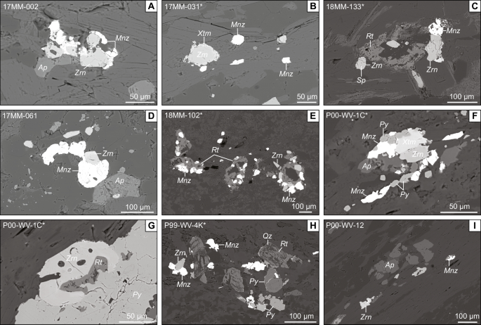 Zircon and the role of magmatic petrogenesis in the formation of  felsic-hosted volcanogenic massive sulfide (VMS) deposits: a case study  from the mid-Paleozoic Yukon-Tanana terrane, northern Canadian Cordillera |  Mineralium Deposita