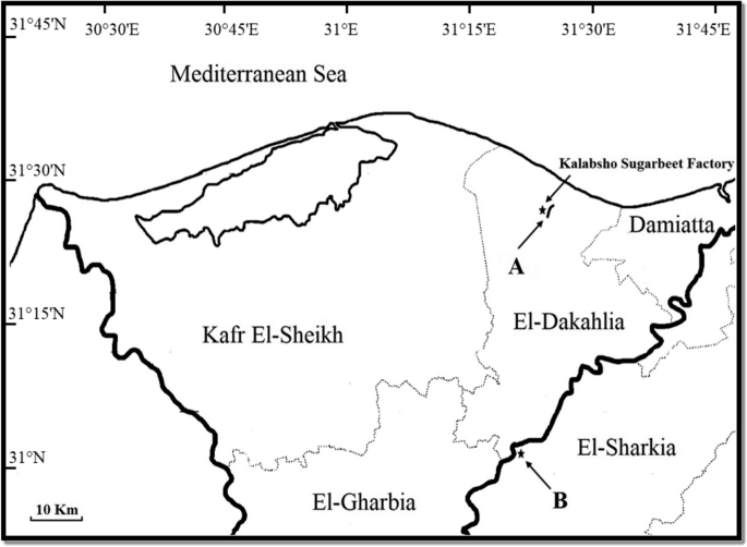 Biomarkers Of Exposure And Effect In Nile Tilapia Oreochromis Niloticus Environmentally Exposed To Multiple Stressors In Egypt Springerlink