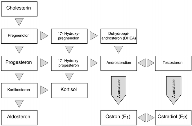 Willkommen zu einem neuen Look von besten steroide