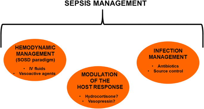 How I Treat Septic Shock Springerlink