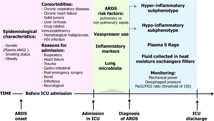 Focus on ventilation and ARD: recent insights | SpringerLink