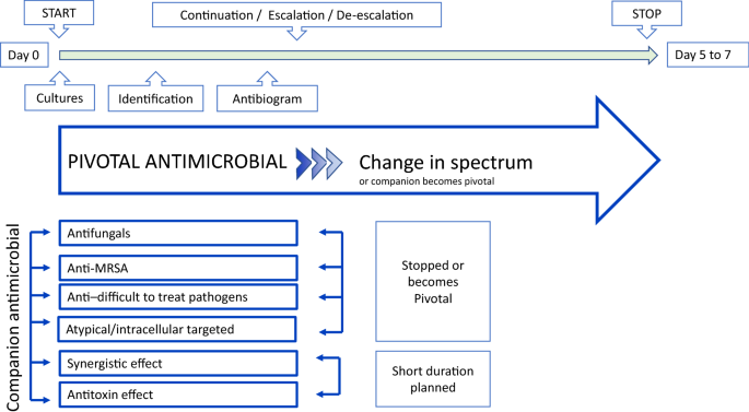 Antimicrobial de-escalation as part of antimicrobial stewardship in intensive  care: no simple answers to simple questions—a viewpoint of experts |  SpringerLink