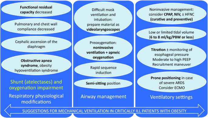 How to ventilate obese patients in the ICU | SpringerLink