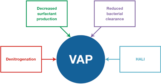 Pulmonary Infections Complicating Ards Springerlink