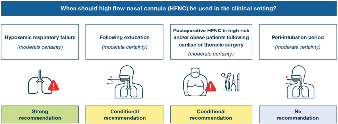 Flow cannula high nasal High Flow