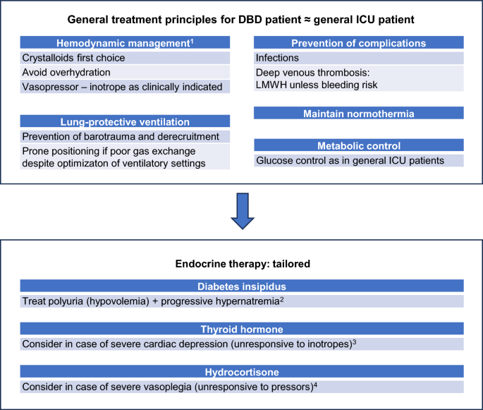 Management of the brain-dead donor in the intensive care unit 