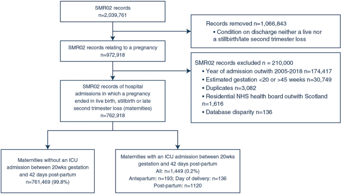 母性ケアに関する洞察が示す危篤リスク(Maternal care insights point to risks of critical illness)