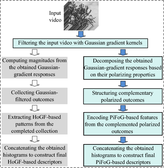 Dynamic texture description using adapted bipolar-invariant and