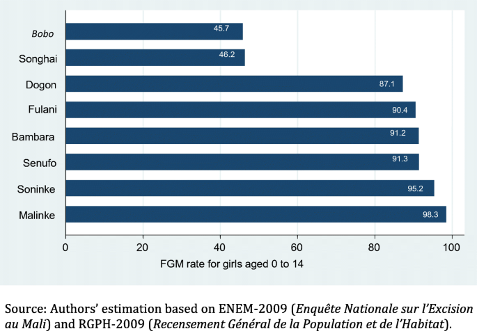 Female Genital Mutilation And Migration In Mali Do Return Migrants Transfer Social Norms Springerlink
