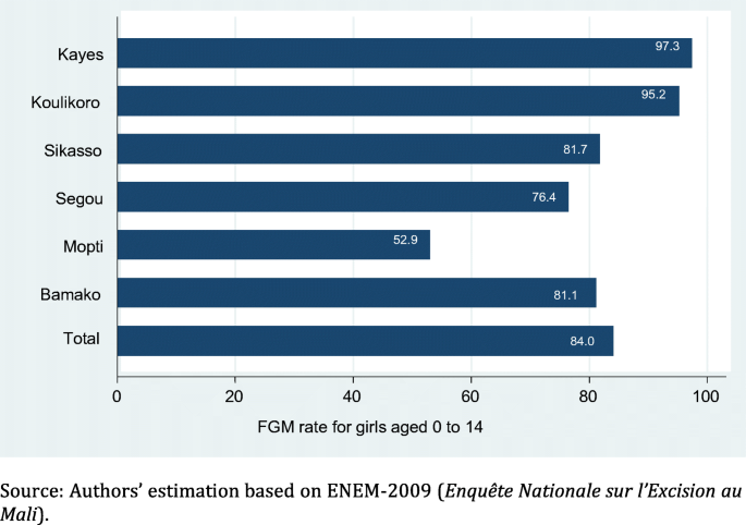 Female Genital Mutilation And Migration In Mali Do Return Migrants Transfer Social Norms Springerlink