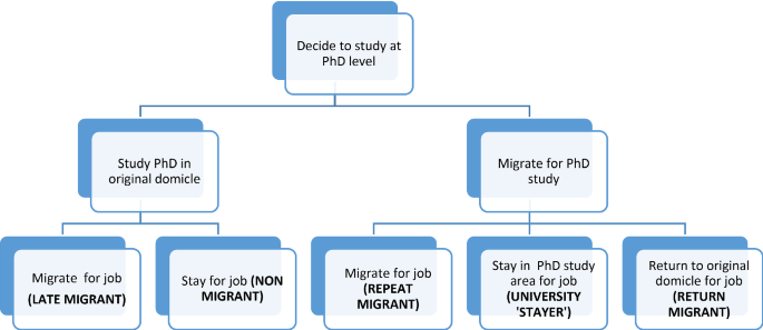 Migration patterns and job satisfaction: evidence from European ...