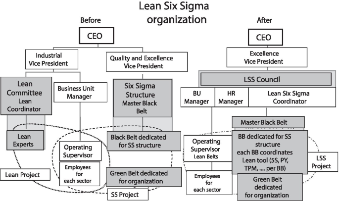 Lean Six Sigma for the automotive industry through the tools and aspects  within metrics: a literature review | SpringerLink
