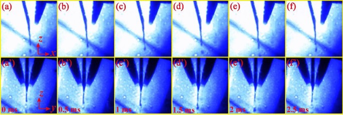 figure 11