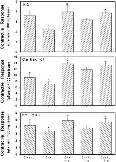 Cyclical estrogen and free radical damage to the rabbit urinary