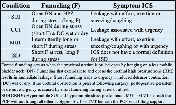 The Urethral Hanging Theory: A Unified Biomechanical Model for the ...