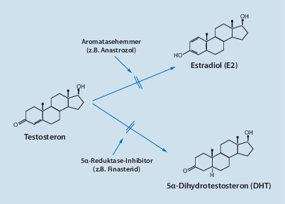 13 Mythen über steroide für mann