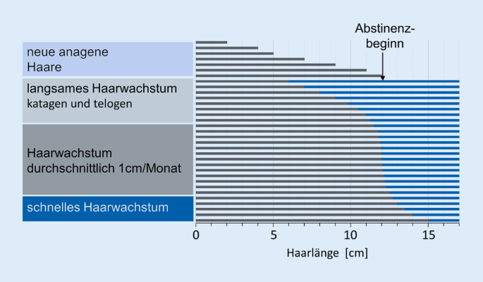 aktuelles zur forensisch