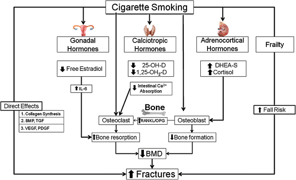 cigarette warning pictures Food, tobacco and alcohol labels should be easy to find and memorable, UNC researcher says • NC Newsline cigarette warning pictures Food, tobacco and alcohol labels should be easy to find and memorable, UNC researcher says • NC Newsline