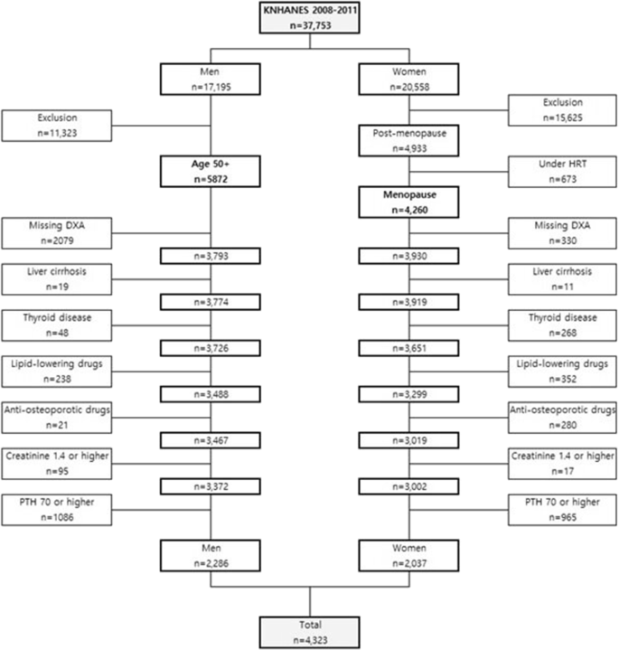 lvmh structure chart