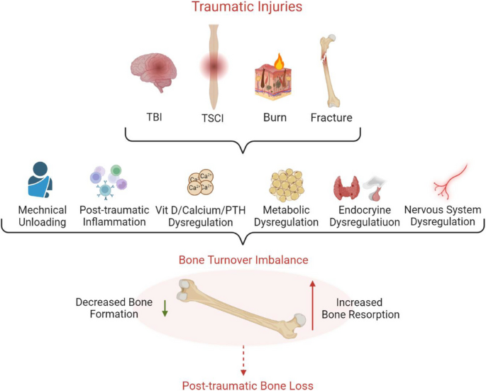 Beyond the initial impact: a systematic review of post-traumatic bone ...