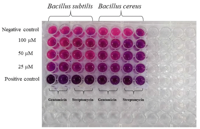 antibiotics and glutathione Antibacterial Activity of Exogenous Glutathione and Its Synergism on  Antibiotics in Methicillin-Associated Multidrug Resistant Clinical Isolates  of Staphylococcus aureus main image 0