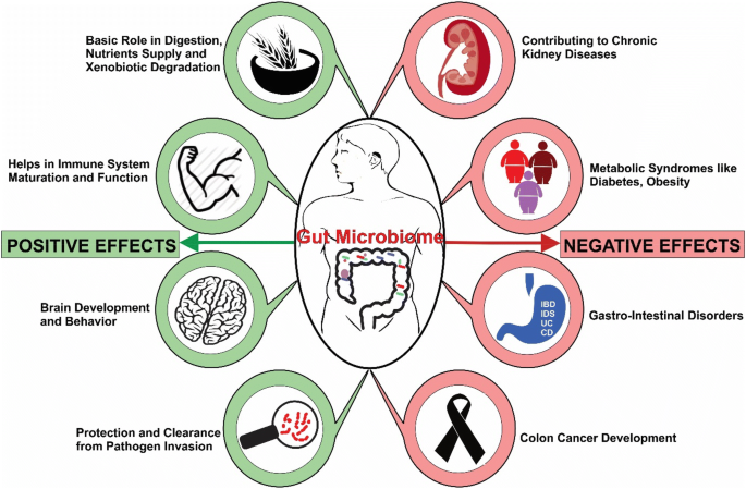 Human Microbiome An Academic Update On Human Body Site Specific Surveillance And Its Possible Role Springerlink