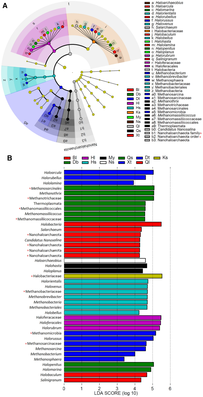 Distinctive Distributions Of Halophilic Archaea Across Hypersaline Environments Within The Qaidam Basin Of China Springerlink