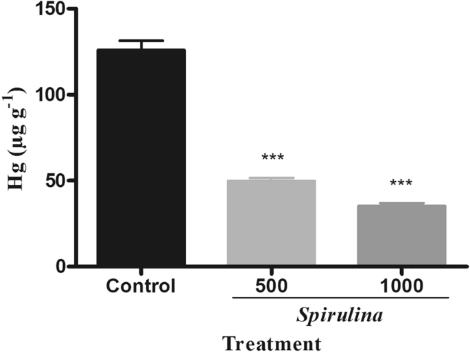 Quantitative evaluation of mercury adsorption and removal efficacy of  Spirulina (Arthrospira platensis) powder in mice | SpringerLink