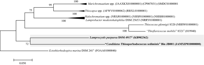 SeqCode: a nomenclatural code for prokaryotes described from sequence data