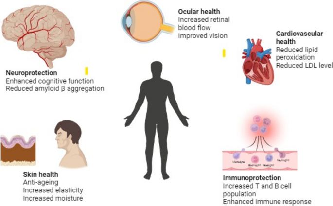 Unveiling astaxanthin: biotechnological advances, delivery systems and  versatile applications in nutraceuticals and cosmetics | Archives of  Microbiology