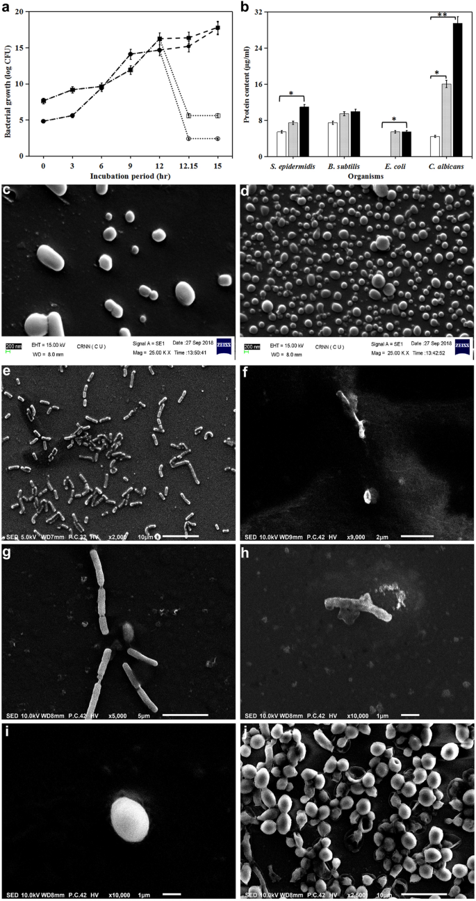 Lipopeptide iturin C3 from endophytic Bacillus sp. effectively inhibits  biofilm formation and prevents the adhesion of topical and food-borne  pathogens in vitro and on biomedical devices | Archives of Microbiology