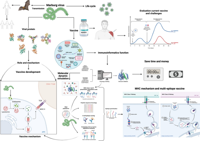 Marburg Research Workflow