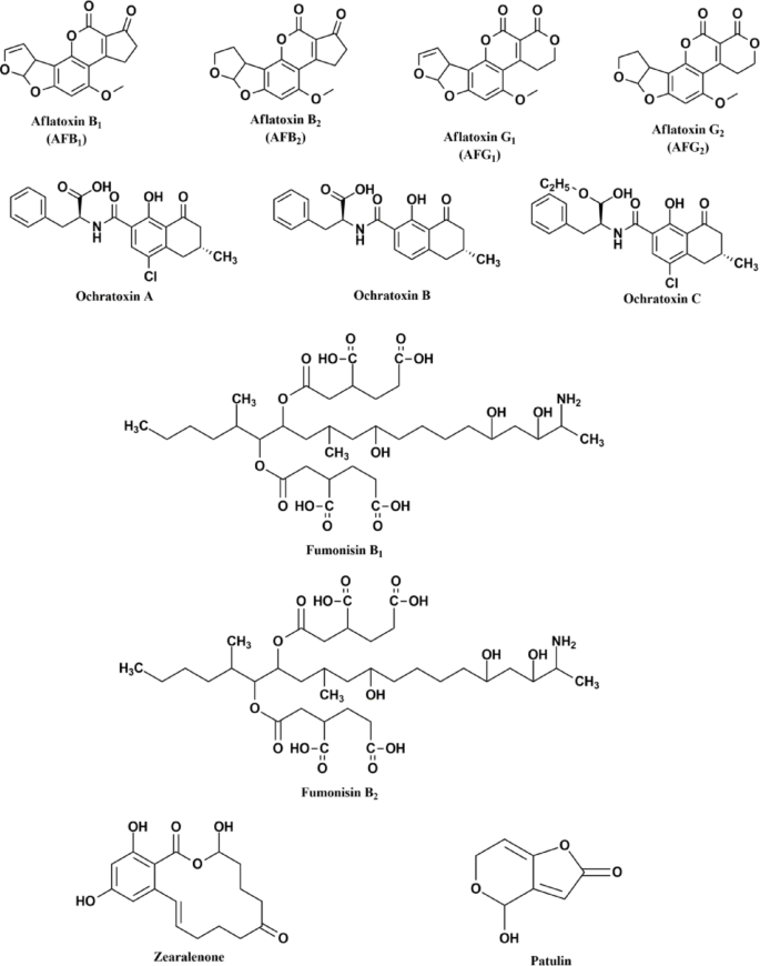Bentonite clay in aflatoxin mitigation: advances, efficiency and ...