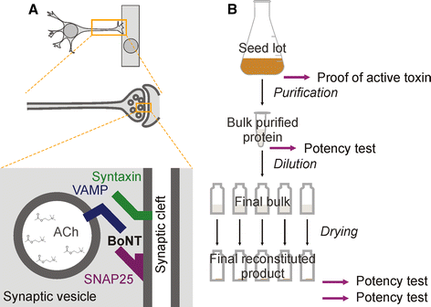 figure16