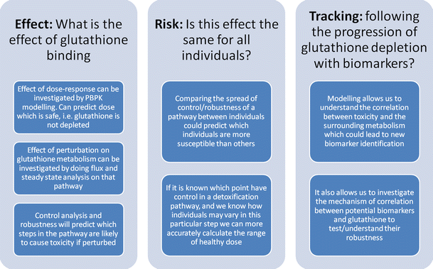glutathione disadvantages Systems biology tools for toxicology | Archives of Toxicology