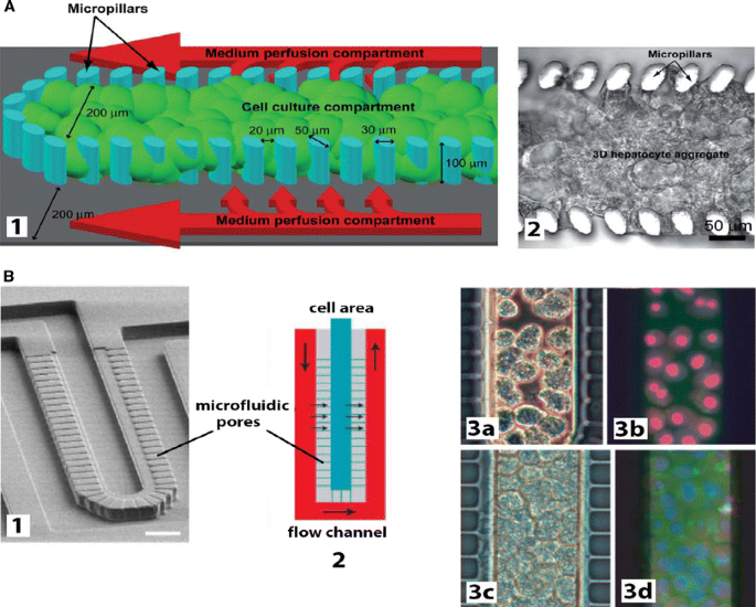 figure 25