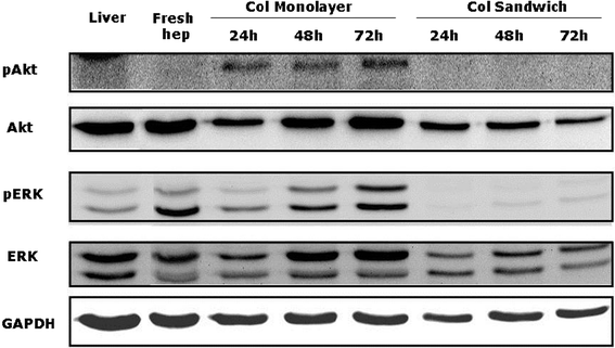 figure 27