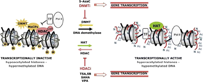 figure 29