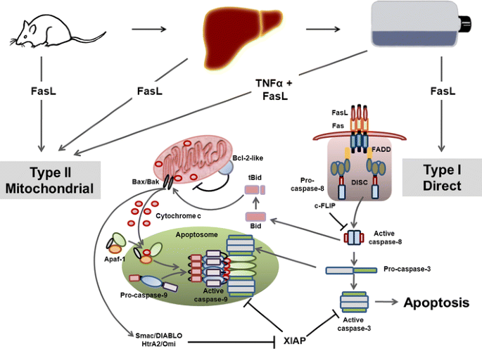 figure 39