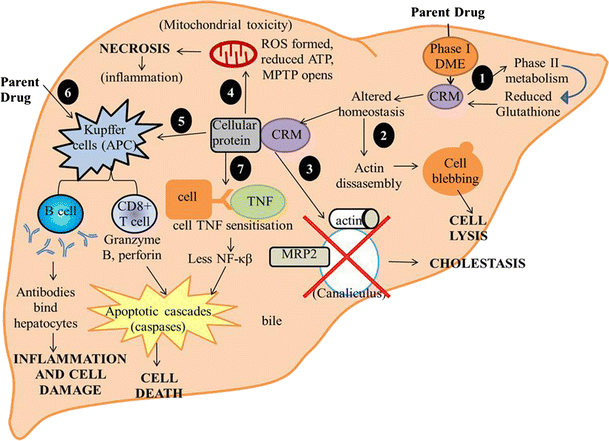 figure 42