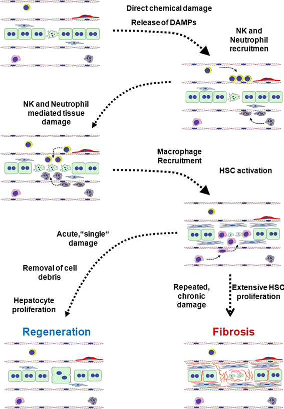 figure 45