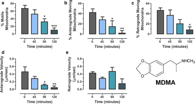 MDMA impairs mitochondrial neuronal trafficking in a Tau- and  Mitofusin2/Drp1-dependent manner | Archives of Toxicology