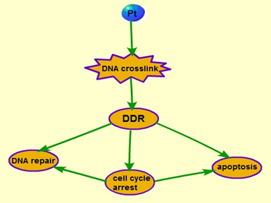 springerlink