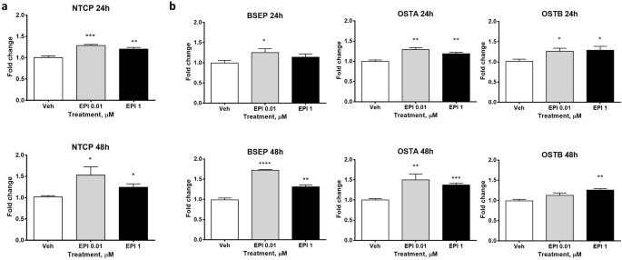 Epistane An Anabolic Steroid Used For Recreational Purposes Causes Cholestasis With Elevated Levels Of Cholic Acid Conjugates By Upregulating Bile Acid Synthesis Cyp8b1 And Cross Talking With Nuclear Receptors In Human Hepatocytes