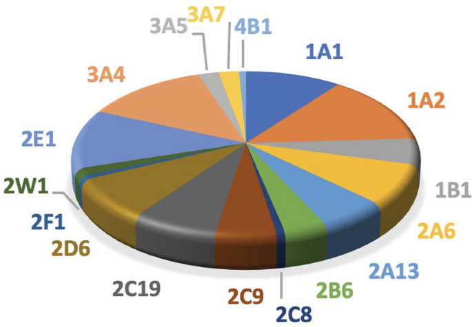 Human Family 1 4 Cytochrome P450 Enzymes Involved In The Metabolic Activation Of Xenobiotic And Physiological Chemicals An Update Springerlink Human Family 1 4 Cytochrome P450 Enzymes Involved In The Metabolic Activation Of Xenobiotic And Physiological Chemicals An Update Springerlink
