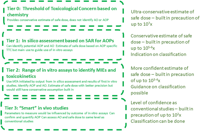 In Vitro Toxicological Investigation and Risk Assessment of E