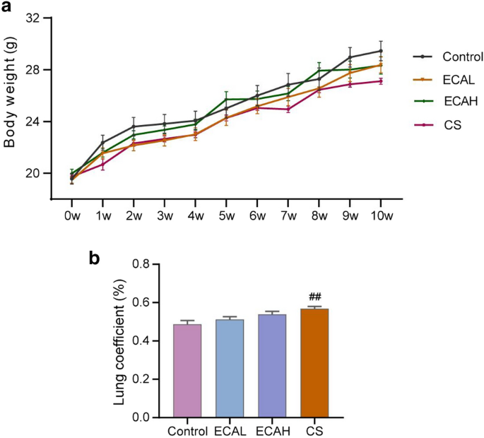 Combined biological effects and lung proteomics analysis in mice reveal  different toxic impacts of electronic cigarette aerosol and combustible  cigarette smoke on the respiratory system | Archives of Toxicology |  Springer Nature Link