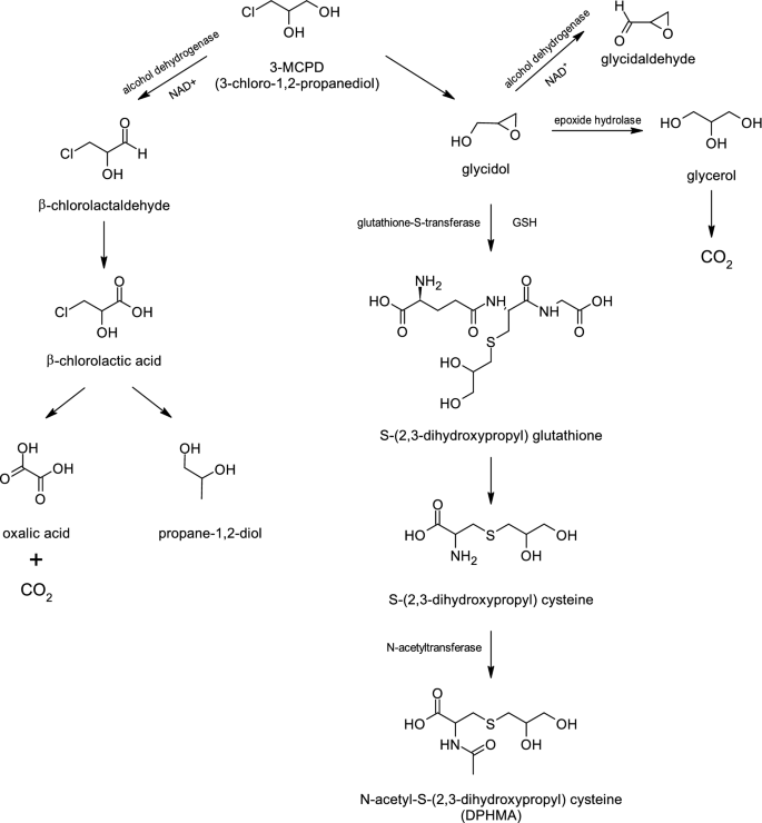 glutathione injection edmonton TruMed: Naturopaths Edmonton